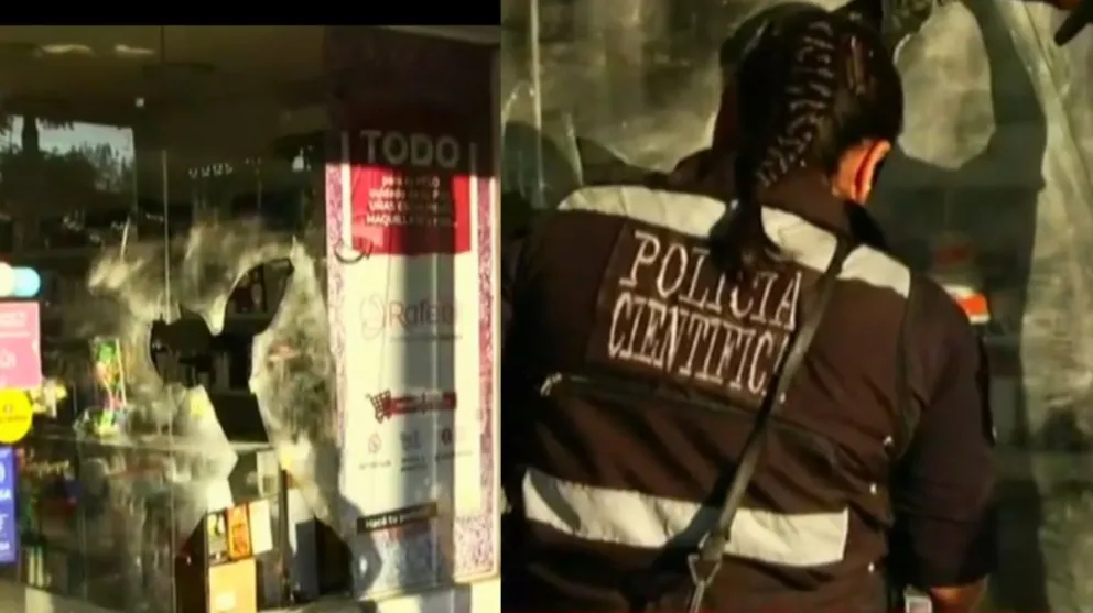 Destrozaron la vidriera a piedrazos y asaltaron un comercio en zona sur