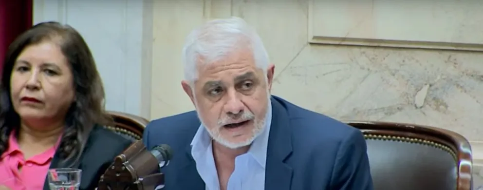 Pablo Outes en el debate por la Ley Ómnibus: "Que Javier Milei deje el egoísmo y convoque a una mesa de concertación"