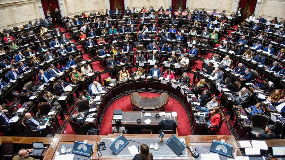 Ley Ómnibus: cómo votaron el controvertido proyecto los diputados salteños 