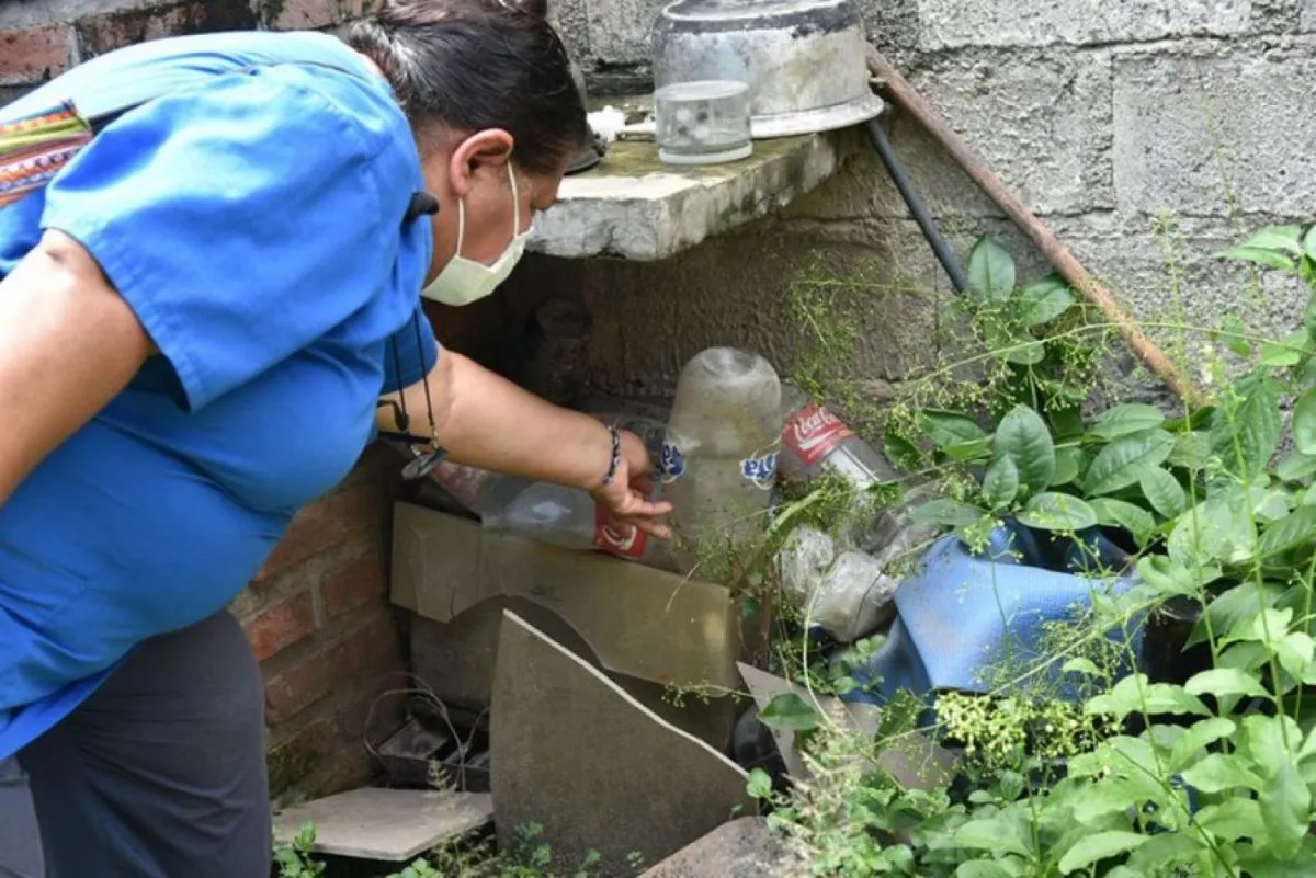 federico mangione salud lucha contra el dengue gobierno de Salta