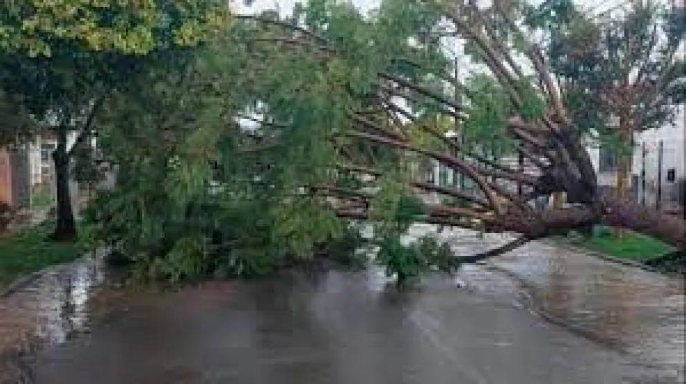 Consecuencias del temporal: el Gobierno de Salta asistió a los damnificados en diversos municipios