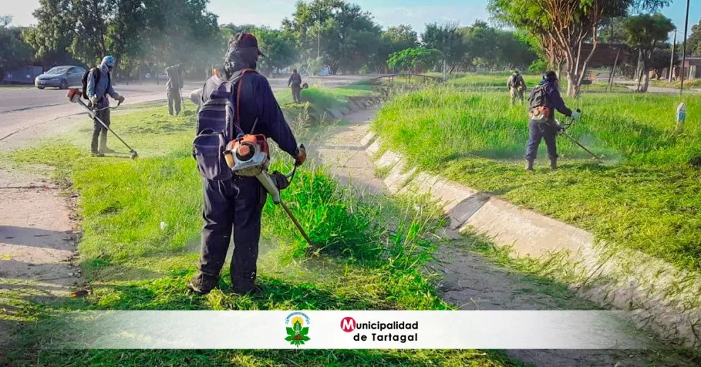 La Municipalidad de Tartagal adquirió nueva maquinaria para mejorar las tareas de desmalezado