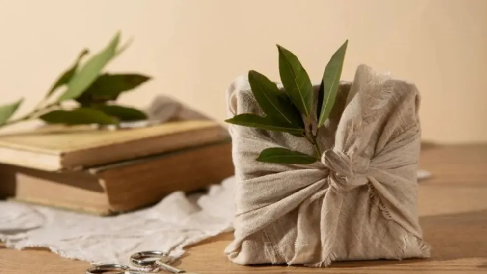 Dónde colocar las hojas de laurel para atraer abundancia y alejar la envidia, según el Feng Shui