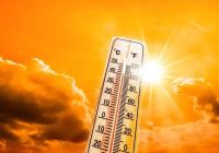 La ola de calor no da tregua: Orán se encuentra entre las ciudades más calurosas de Argentina