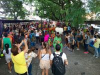 Deslumbrante carnaval en la ciudad de Salta: el impacto económico superó los $800 millones