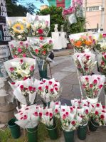 San Valentín en Salta en tiempos de crisis: ¿cuánto necesita un salteño para regalar el infaltable ramo de flores?