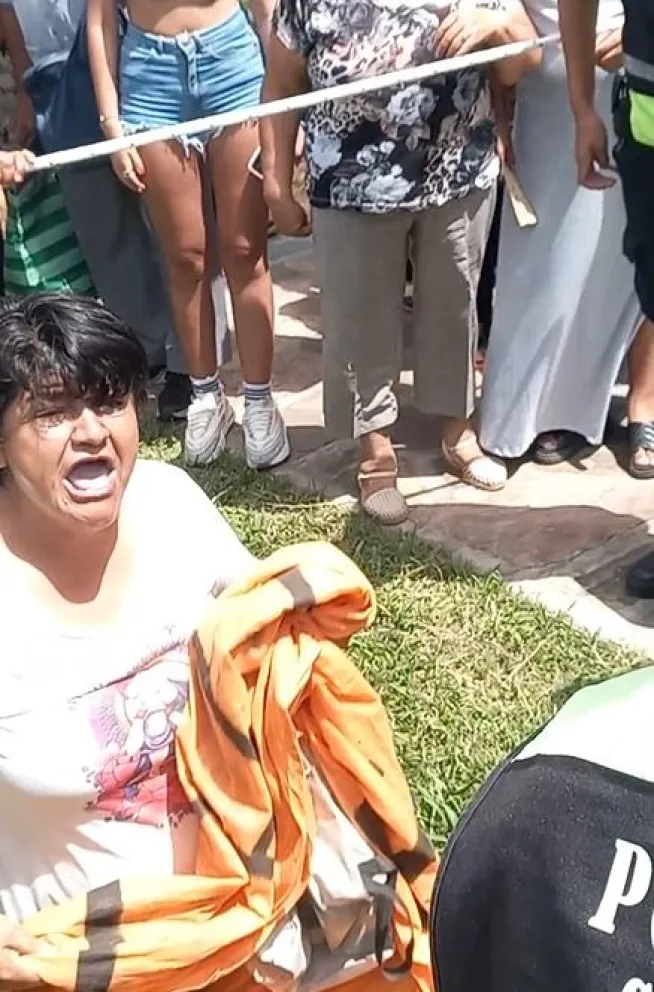 Proteccionistas de animales irrumpieron en el desfile por la Batalla de Salta y fueron repudiados 