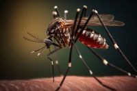 Dengue en Bermejo: diez casos confirmados y preocupación por signos de alarma en dos jóvenes