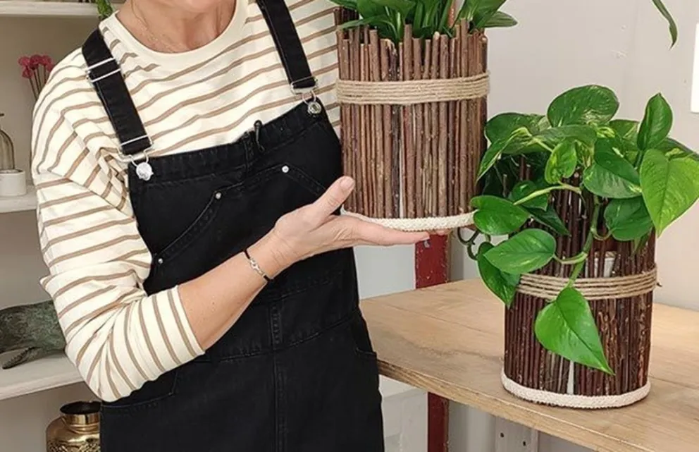 Una increíble idea para reciclar los tachos de pintura: elabora unas hermosas macetas para tu jardín interior