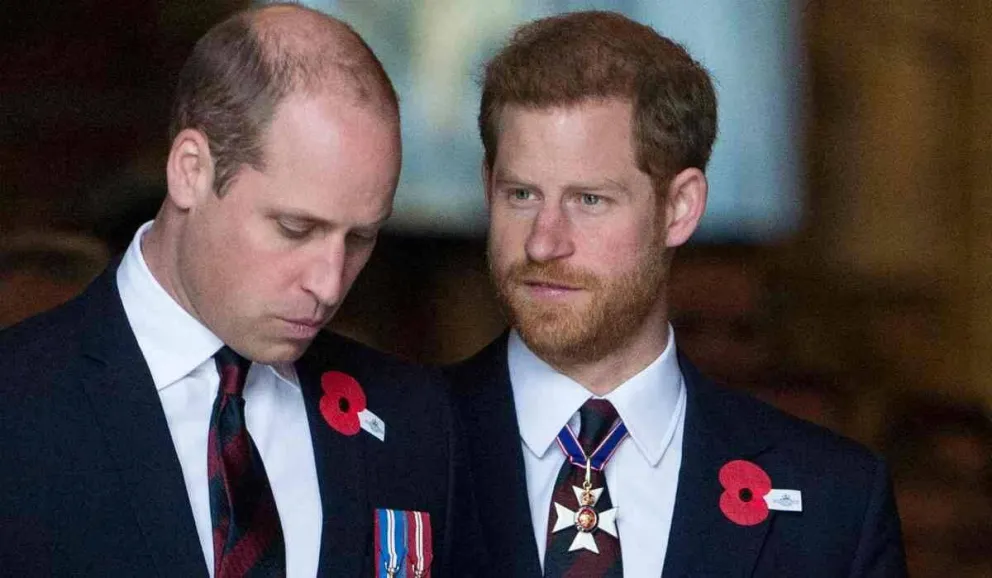 Esta es la razón inusual que podría separar al príncipe Harry del príncipe Guillermo