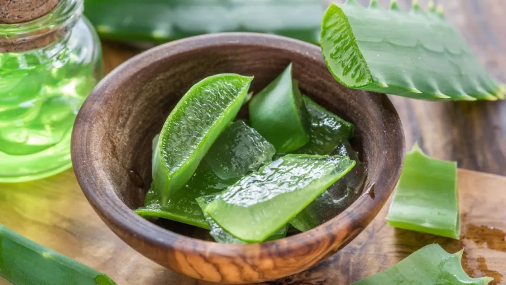 Descubrí cómo hacer este jabón de aloe vera curativo y decile adiós a la piel dañada