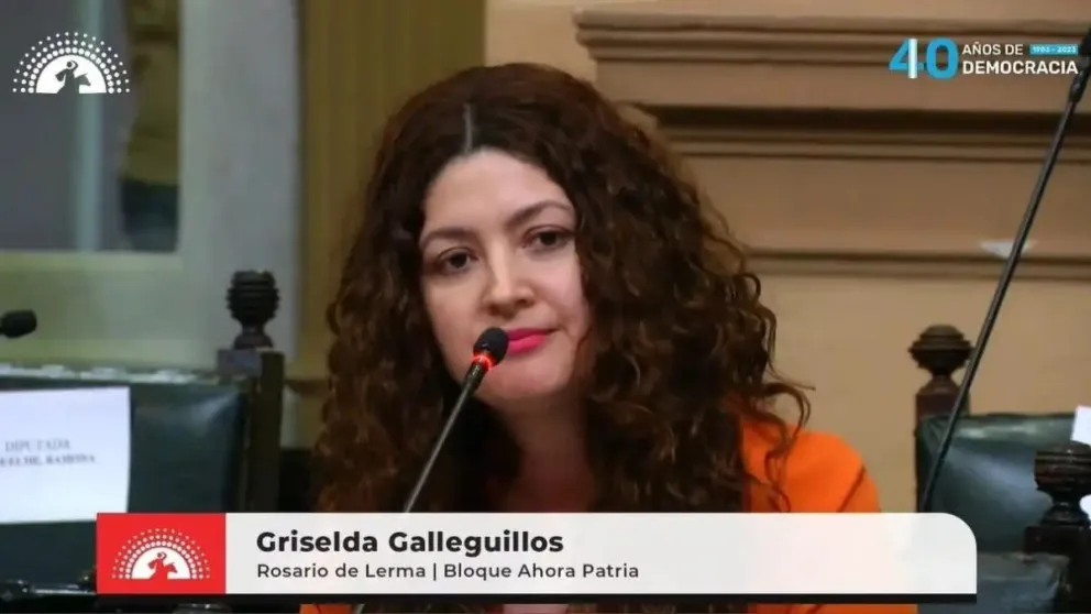 Enfrentamiento en la Legislatura salteña: Griselda Galleguillos se burló del diputado wichí Rogelio Segundo