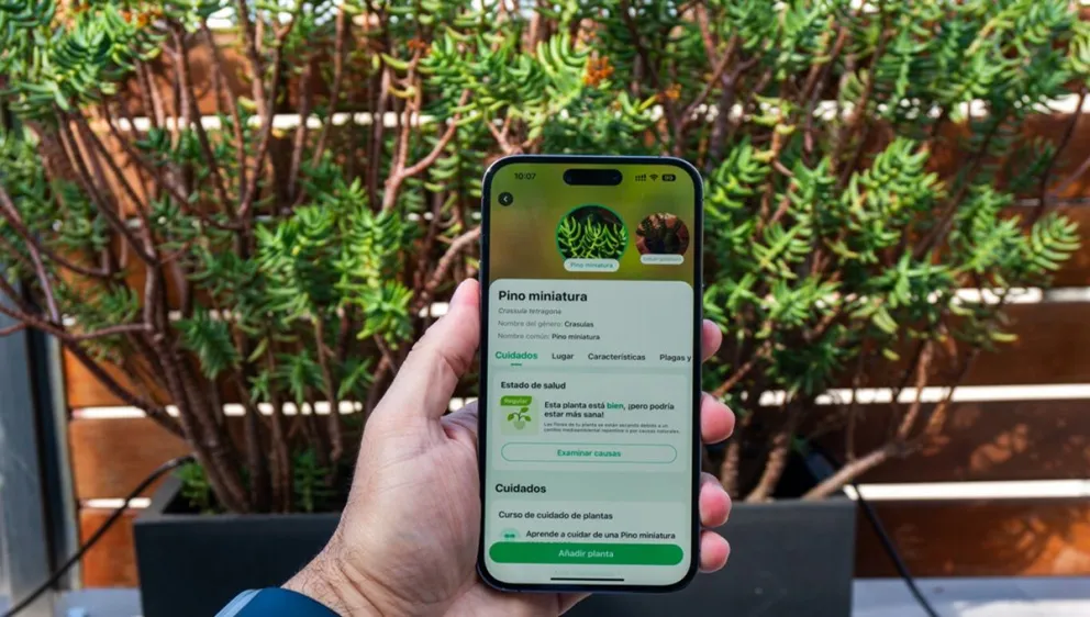 Cuida tus plantas desde tu celular: conocé las increíbles aplicaciones que simplifican la tarea de la jardinería 