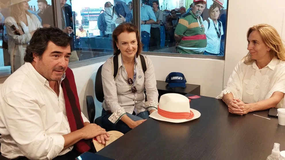 El Gobierno salteño le pidió a Diana Mondino reactivar la Aduana en Paso de Sico