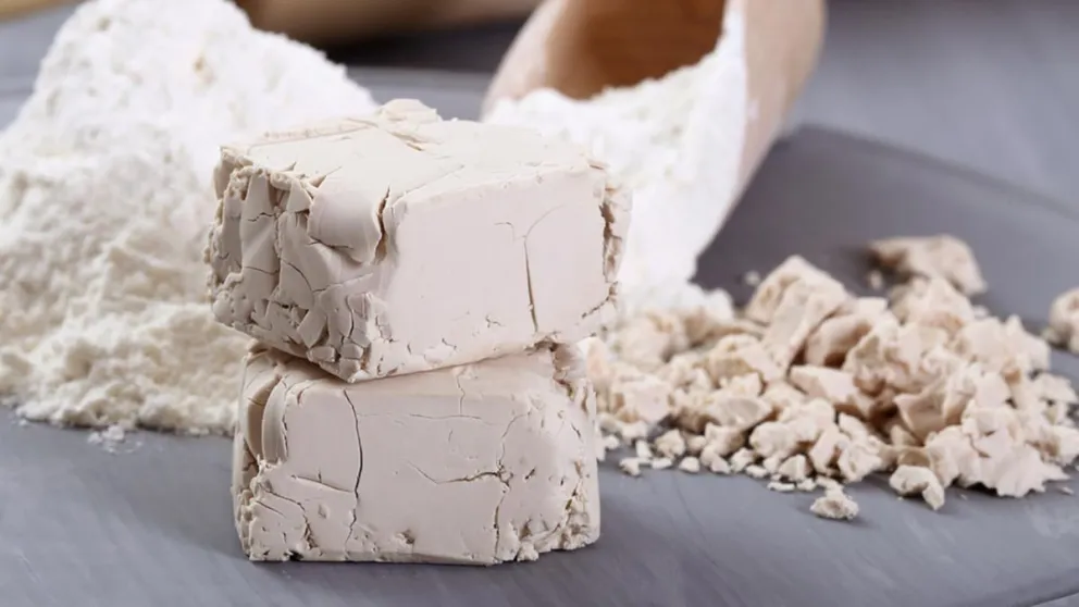 Descubrí este increíble truco con levadura para quitar el mal olor de tus electrodomésticos