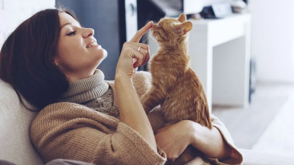 Cinco ideas para eliminar las pelusas de la ropa sin causar daños: muy fáciles de hacer