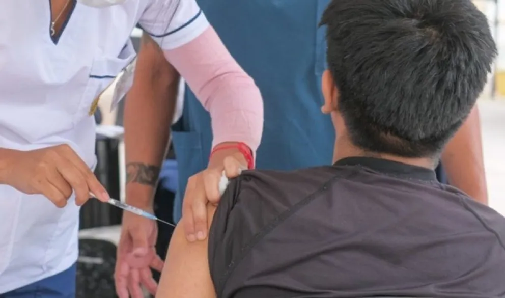 Vacuna contra el dengue: senadores salteños piden ampliar su aplicación a más personas