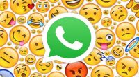Descubrí los nuevos emojis que tiene WhatsApp para este año: una enorme variedad que te encantará