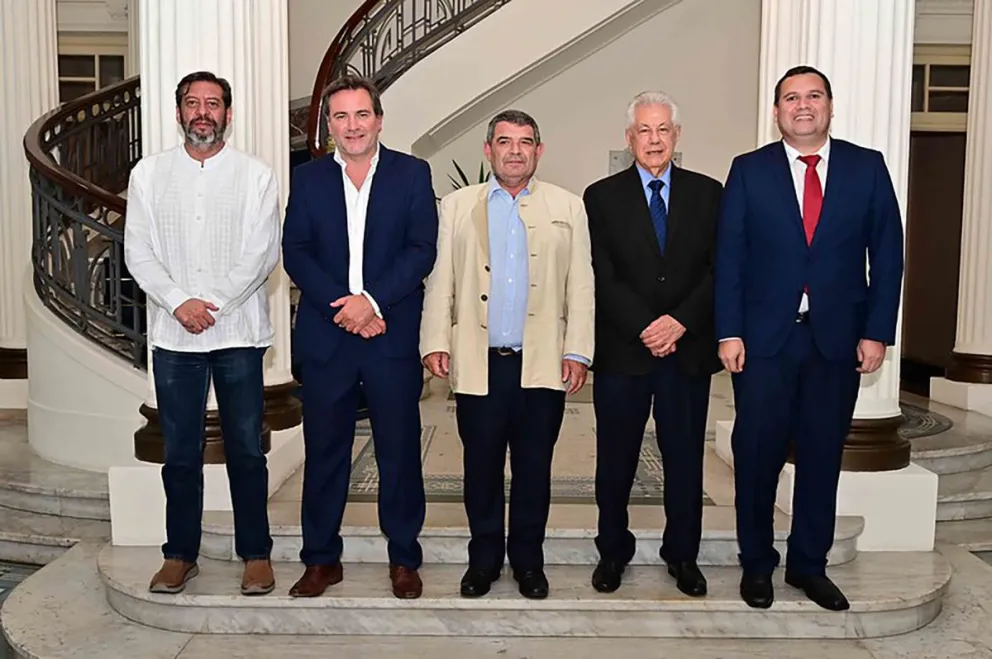 Escándalo en el Parlasur: la delegación argentina junto a Paraguay y Brasil piden la renuncia de Alfredo Olmedo