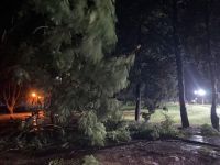 Violenta tormenta en Metán: arrastró autos, inundó viviendas y derribó árboles 