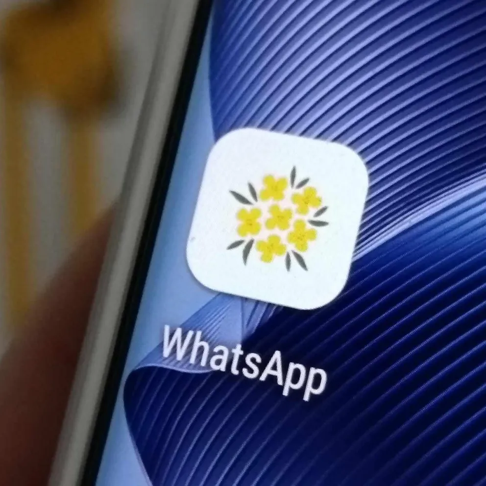 Descubrí cómo activar el “modo flores amarillas” en WhatsApp, y disfruta de tu nueva apariencia personalizada 