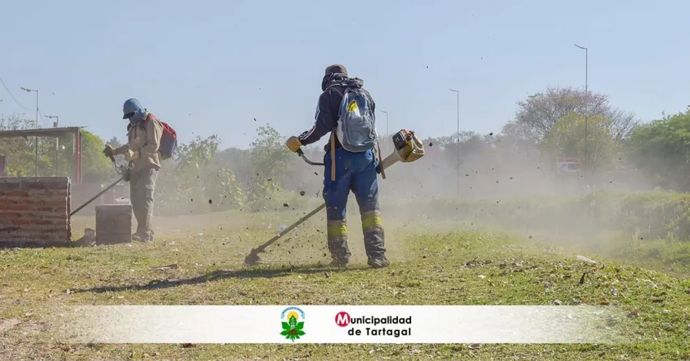 La Municipalidad de Tartagal realiza tareas de limpieza, poda y desmalezado en escuelas rurales