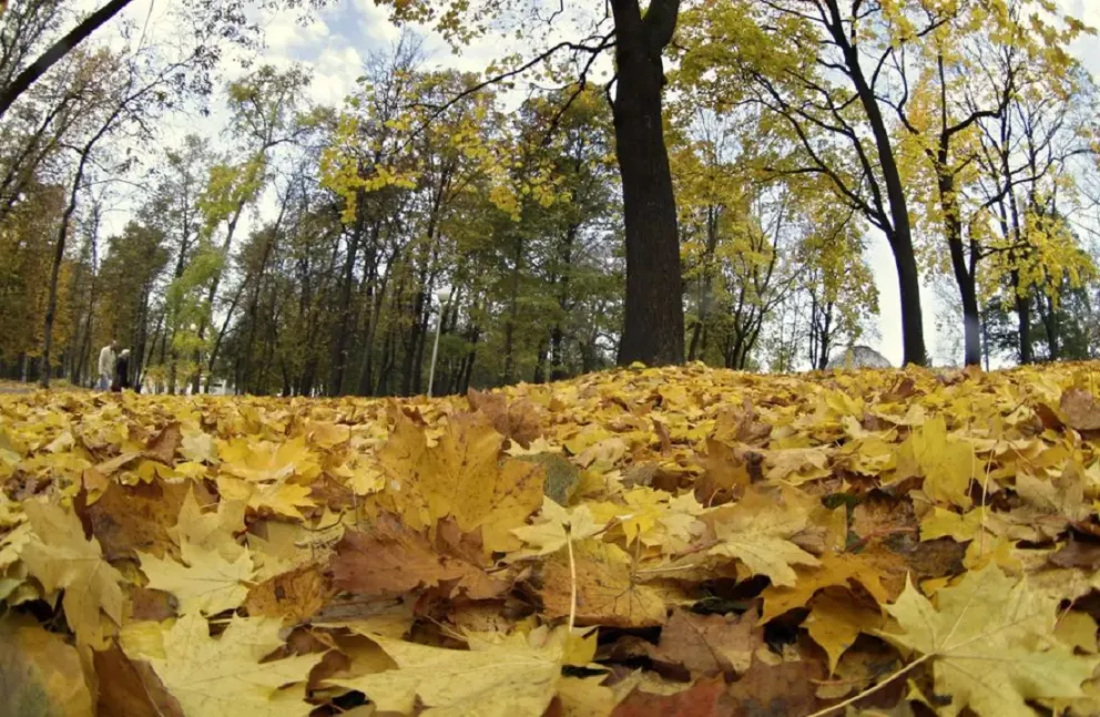Efemérides 21 de marzo: entre el inicio del otoño y el recuerdo de sucesos históricos 