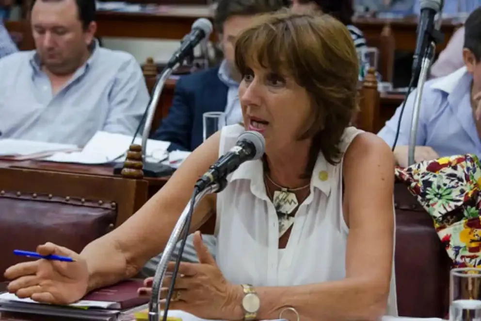 Virginia Cornejo dijo que en la frontera salteña trafican órganos: “Lo testifican quienes están ahí”