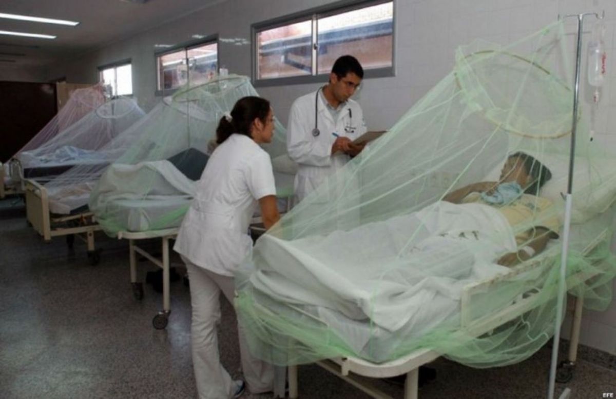 Marcelo Quipildor, médico infectólogo: "El dengue puede causar hepatitis y meningitis"