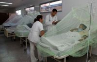 Dengue en Salta: aseguran que solo el 30% de las personas contagiadas recurren al sistema sanitario