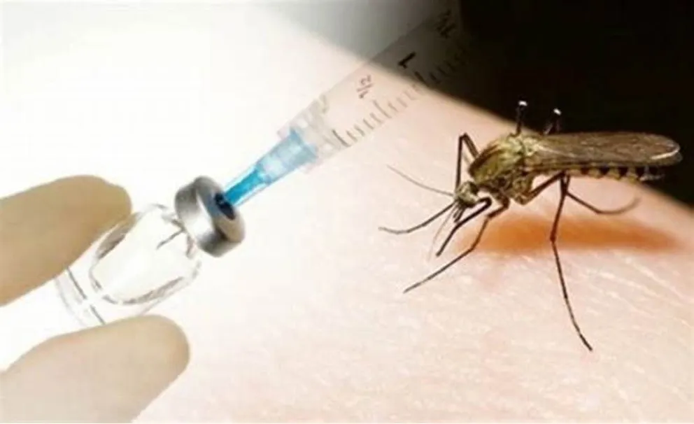 Vacunación contra el dengue