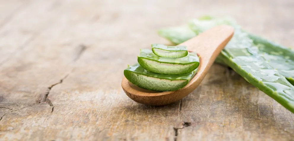 Mascarilla natural de aloe vera para el pelo: ideal para recuperar el brillo y el movimiento
