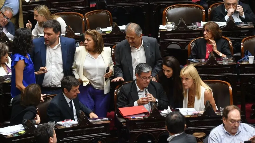 Diputados de Unión por la Patria buscarán prohibir el pago de jubilaciones en cuotas