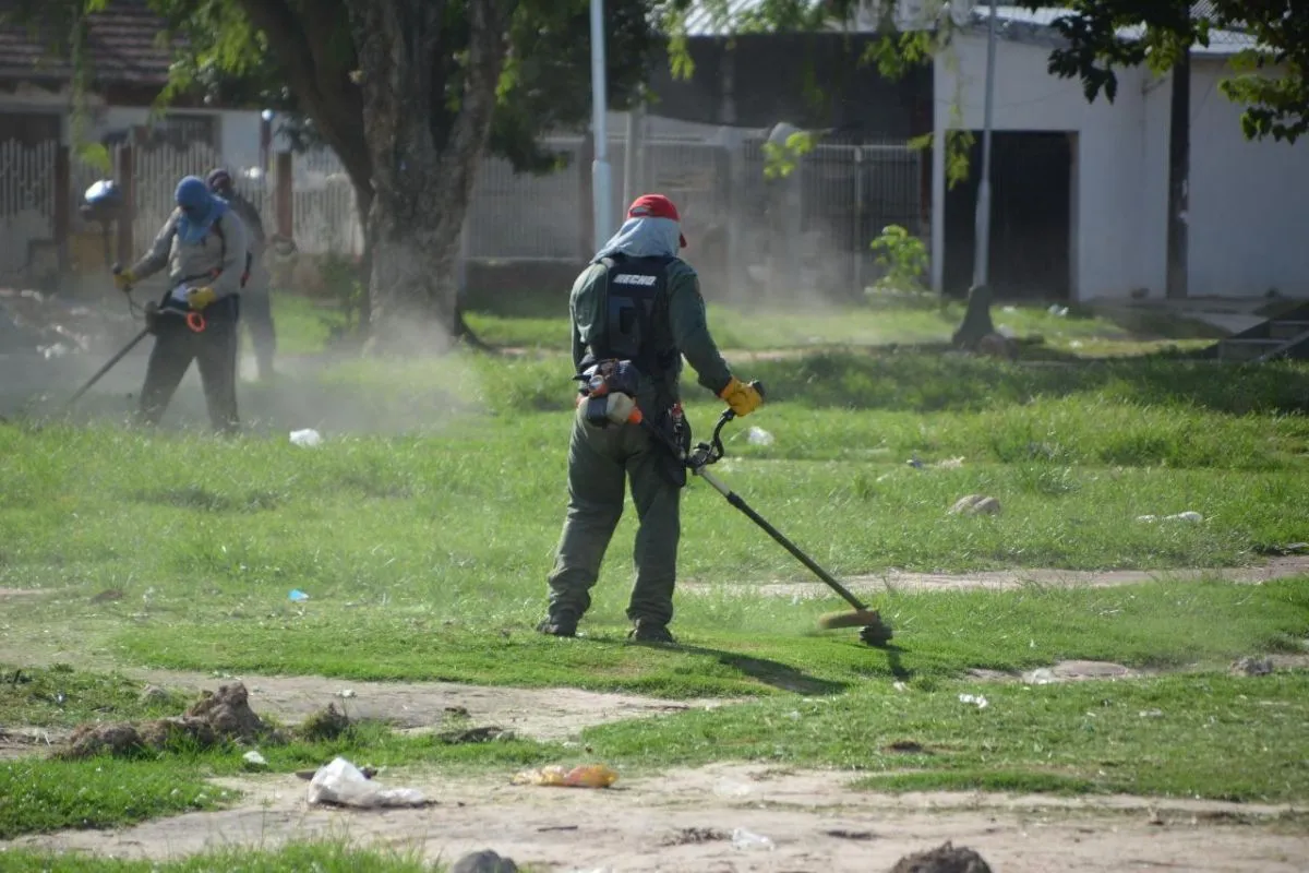 Dengue