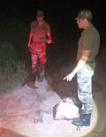 Hallazgo ilegal: llevaban en el baúl especies protegidas en Salta