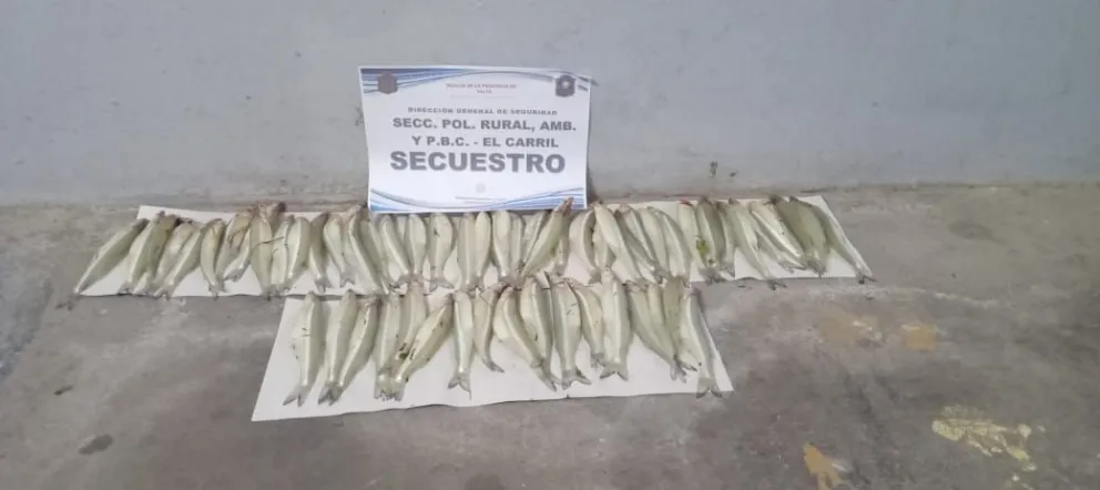 Pescados