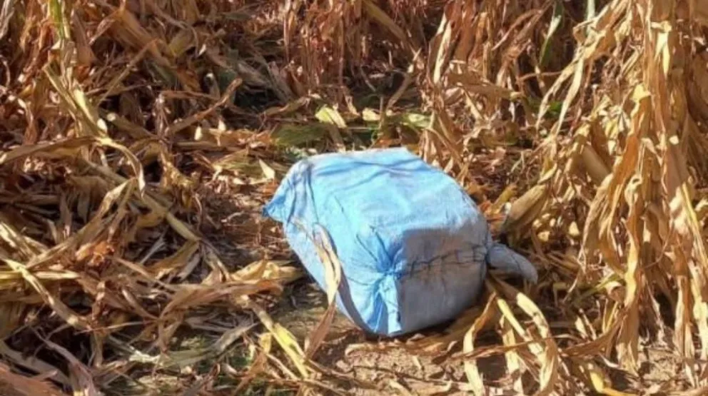 Banda criminal transportaba cientos de kilos de droga en autos y avionetas al centro del país
