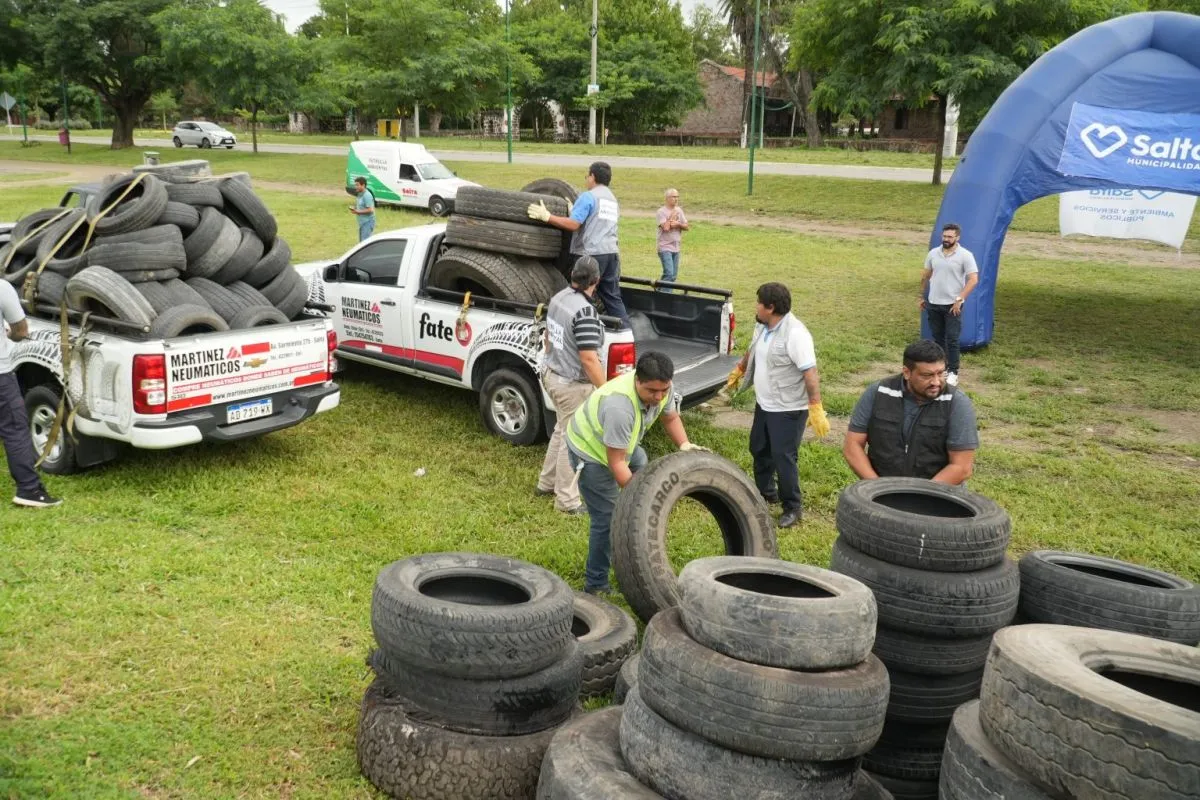 neumatón neumáticos municipalidad de Salta