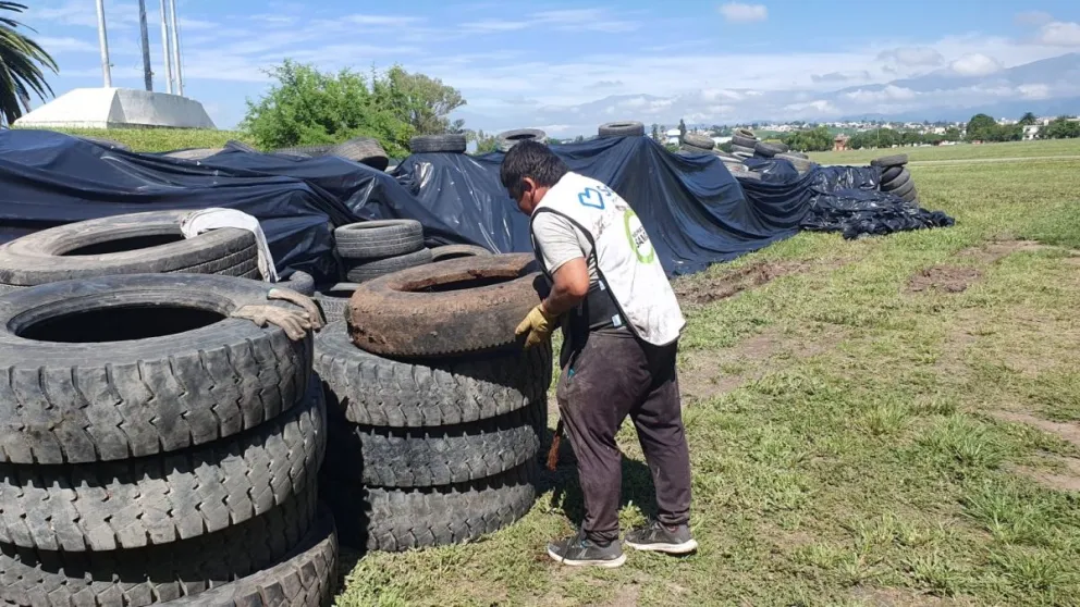 La Municipalidad de Salta invita a una nueva edición del "Neumatón": cuándo y dónde será 