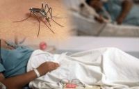 Tragedia en Metán: una abuela habría muerto de dengue y en completa soledad