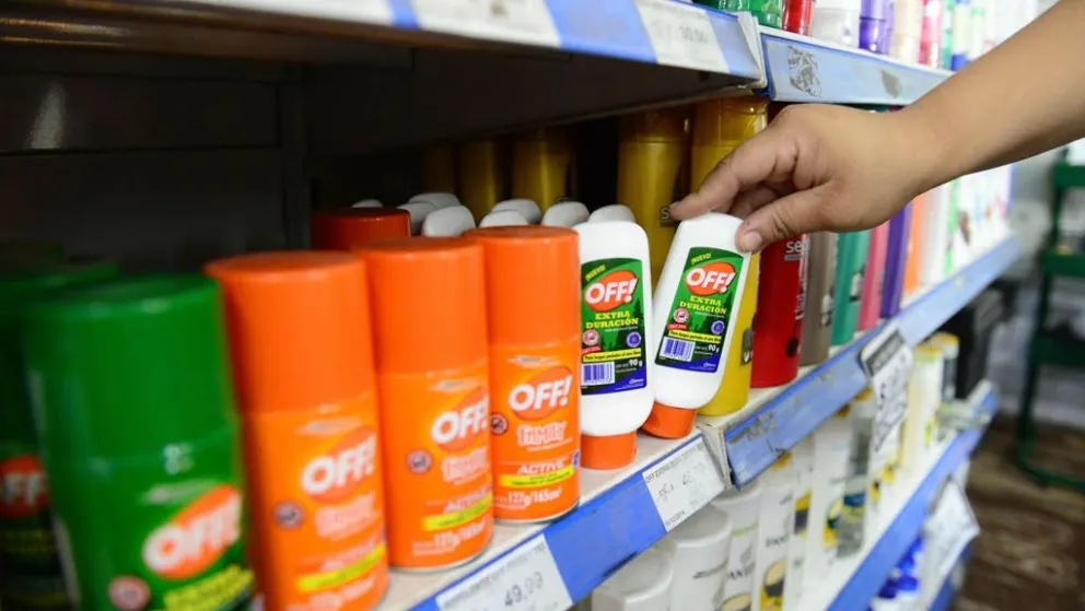 Insólito: miles de argentinos cruzaron a Chile en el finde XXL y compraron repelentes 