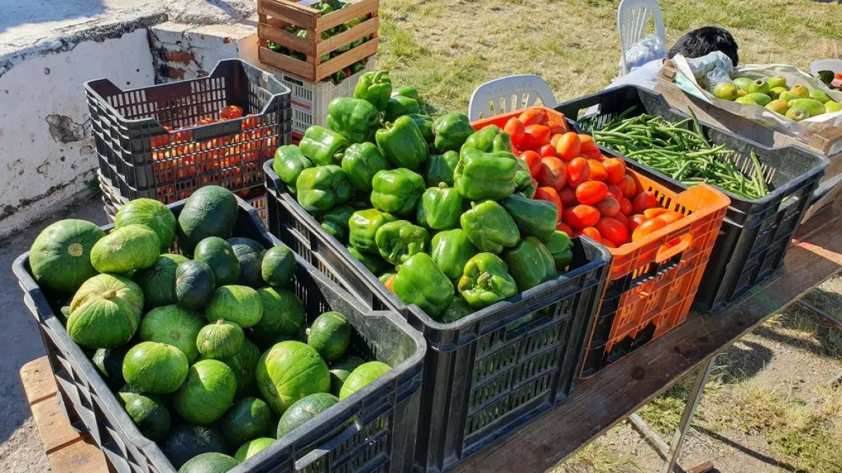 El mercado en tu barrio 