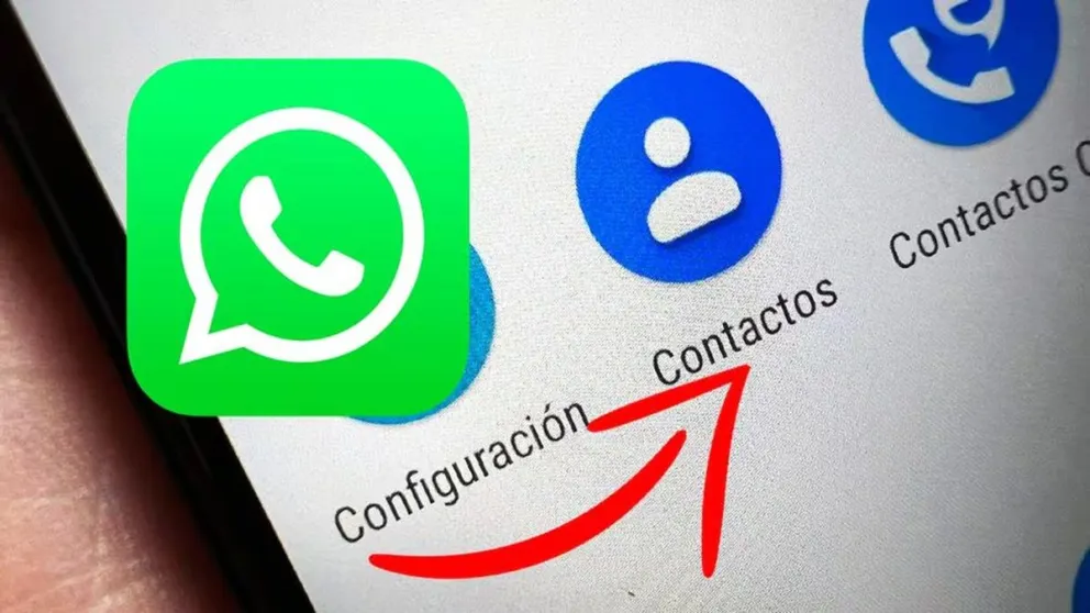 Conocé el por qué debes limpiar regularmente tu lista de contactos en WhatsApp: te decimos cómo hacerlo