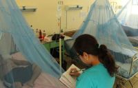 Dengue: Valle de Lerma presentó un significativo aumento de contagios y las cifras son alarmantes