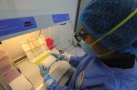 Laboratorios salteños están a la espera de reactivos contra el dengue: “Estuvimos al mismo nivel que el Covid”