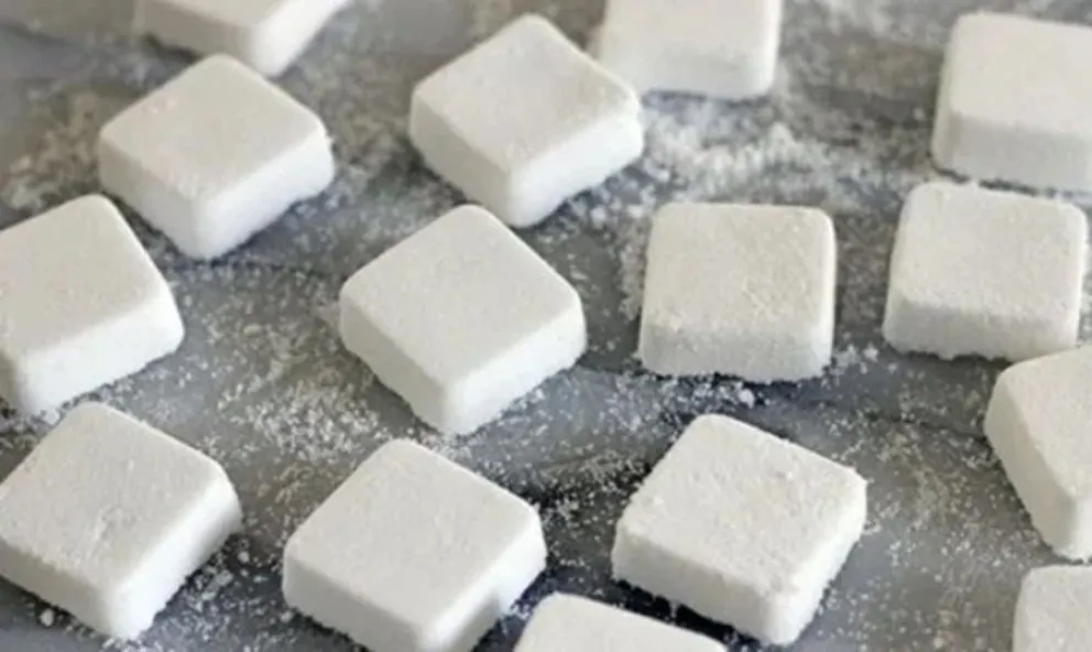 inodoro-pastillas desinfectantes