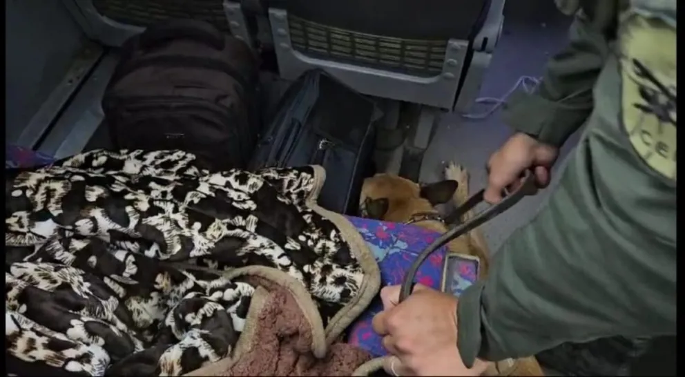 Viajaban en colectivo desde Orán a Buenos Aires con una importante carga de droga 