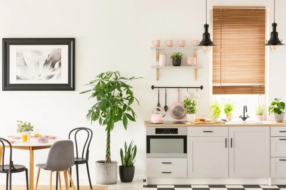 Esta es la planta que te ayudará a eliminar todos los insectos de tu cocina