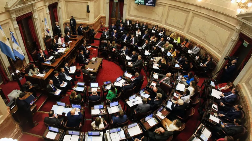 La puja por las bancas en el Senado Nacional: Salta y el huracán político que se avecina