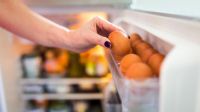 Los errores más comunes al almacenar los huevos: descubrí por qué no debes colocarlos en la puerta de la heladera